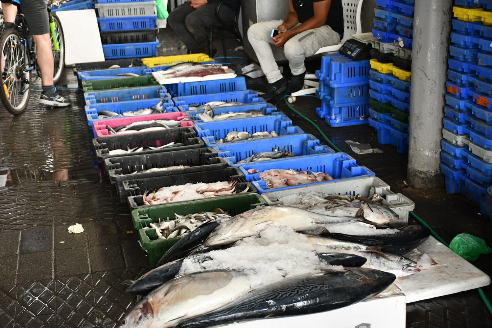 WhatsApp Image 2020-05-18 at 2.29.40 AM (1).jpeg.jpeg